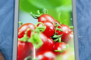 壁挂广告机能不能当显示器用，一般情况下最好不要